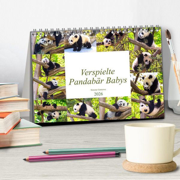 Produktbild: Pandab&auml;r Babys (Tischkalender 2026 DIN A5 quer), CALVENDO Monatskalender
