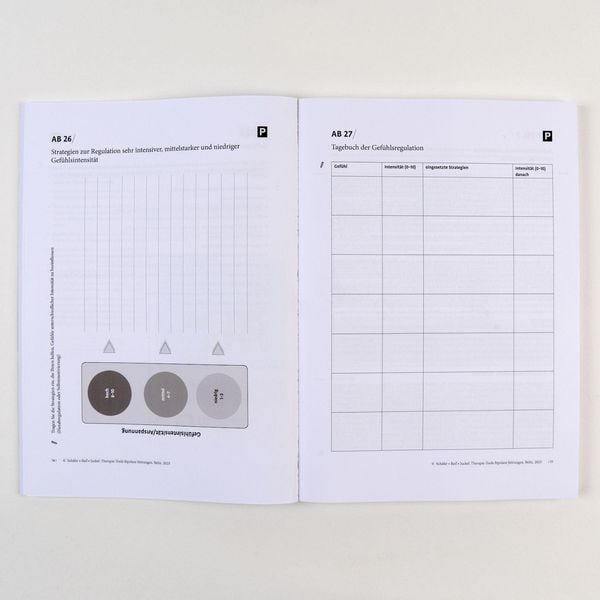 Produktbild: Therapie-Tools Bipolare St&ouml;rungen