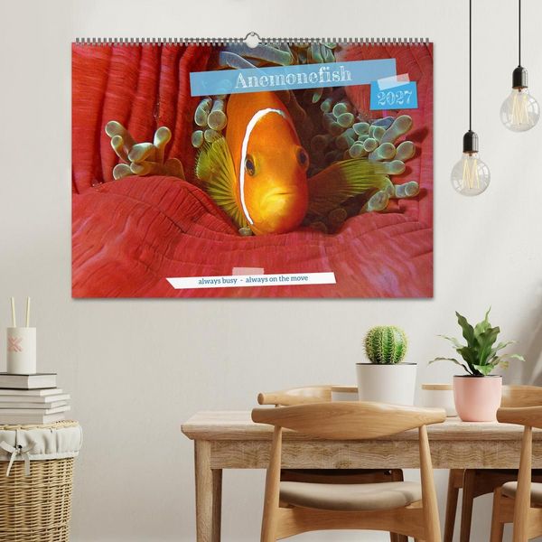 Produktbild: Anemonefish - always busy - always on the move (Wall Calendar 2027 DIN A2 landscape), CALVENDO 12 Month Wall Calendar