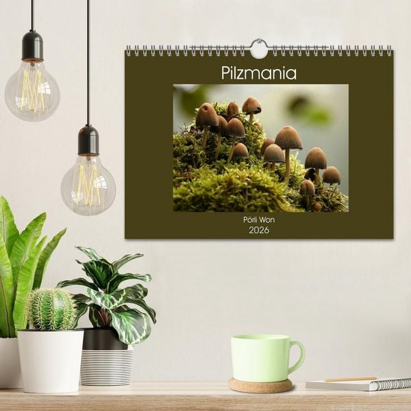 Produktbild: Pilzmania (Wandkalender 2026 DIN A4 quer), CALVENDO Monatskalender