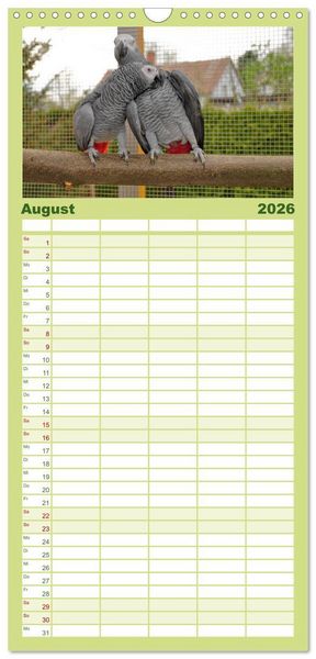 Produktbild: Familienplaner 2026 - Graupapageien zum Verlieben mit 5 Spalten (Wandkalender, 21 x 45 cm) CALVENDO
