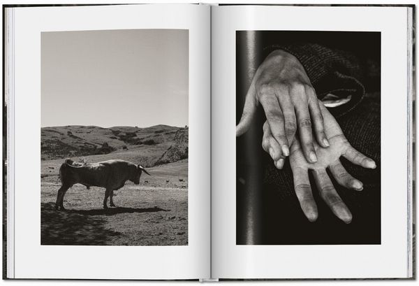 Produktbild: Peter Lindbergh