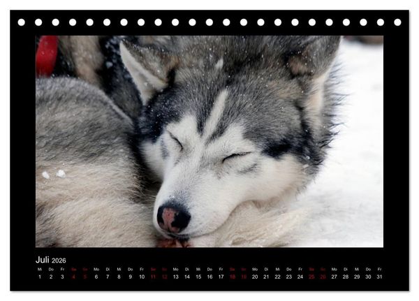 Produktbild: Huskys im Schnee (Tischkalender 2026 DIN A5 quer), CALVENDO Monatskalender