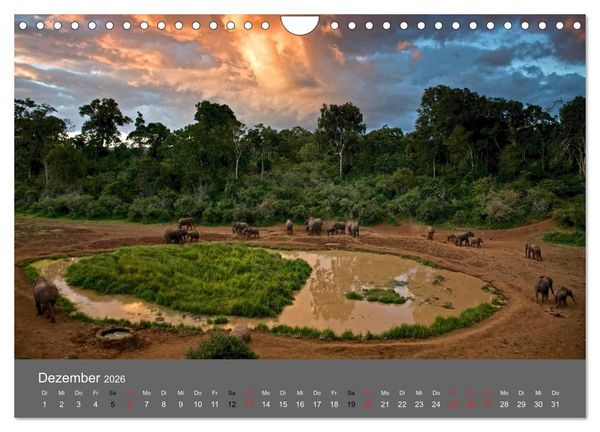 Produktbild: Ich tr&auml;umte von Afrika (Wandkalender 2026 DIN A4 quer), CALVENDO Monatskalender