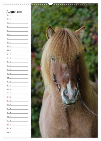 Produktbild: Isl&auml;nder im Portrait (hochwertiger Premium Wandkalender 2026 DIN A2 hoch), Kunstdruck in Hochglanz