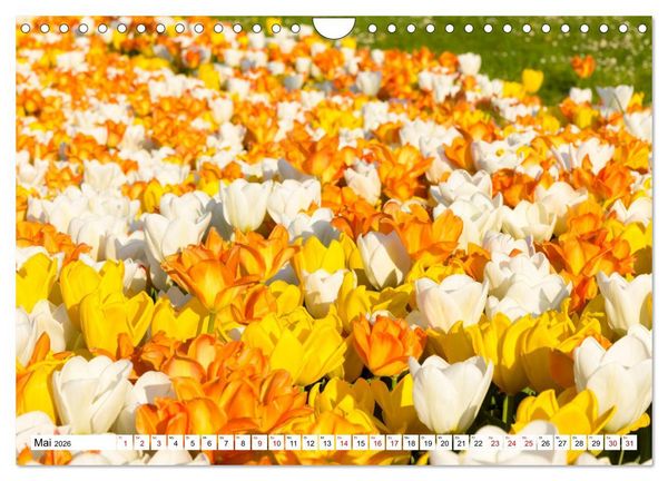 Produktbild: F&uuml;rstenfeldbruck - Streifzug durch Natur und Stadt (Wandkalender 2026 DIN A4 quer), CALVENDO Monatskalender