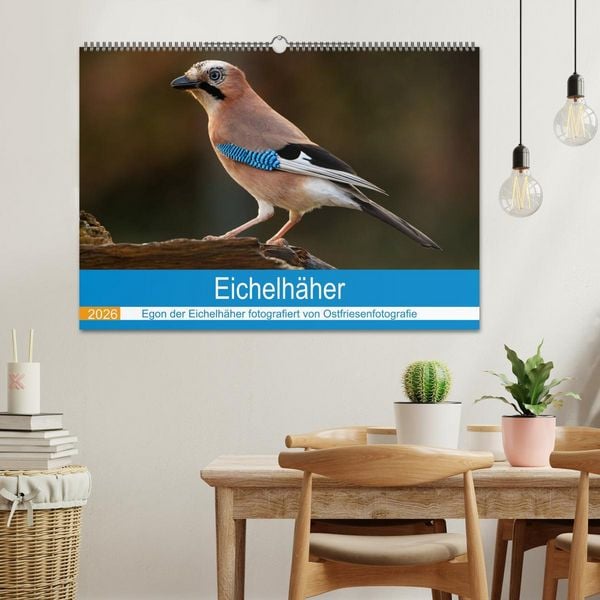 Produktbild: Eichelh&auml;her - Egon der Eichelh&auml;her fotografiert von Ostfriesenfotografie (Wandkalender 2026 DIN A2 quer), CALVENDO Monatskalender