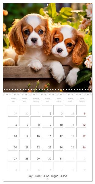 Produktbild: Cute PUPPY PERSONALITIES (Wall Calendar 2026 12 &times; 12 Inch) CALVENDO 12 Month Wall Calendar