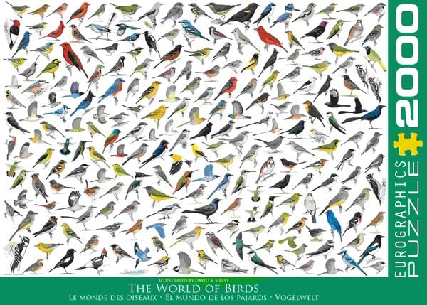 Produktbild: Puzzle 2000 Teile - The World of Birds