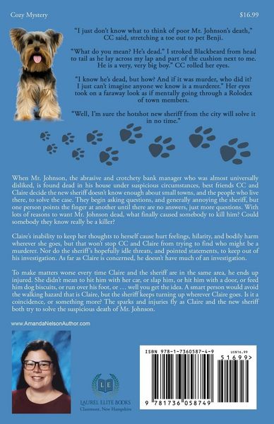 Produktbild: Claire and the Missing Heir