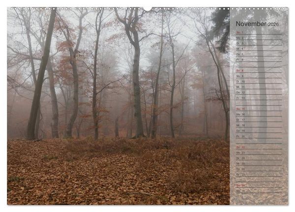 Produktbild: Unser Wald - Magische Sichten in norddeutsche W&auml;lder / Geburtstagskalender (hochwertiger Premium Wandkalender 2026 DIN A2 quer), Kunstdruck in Hochglanz