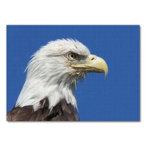 Produktbild: Lais Puzzle Adler 500 Teile