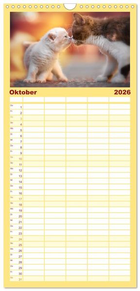 Produktbild: Familienplaner 2026 - Niedliche BKH Katzenkinder mit 5 Spalten (Wandkalender, 21 x 45 cm) CALVENDO