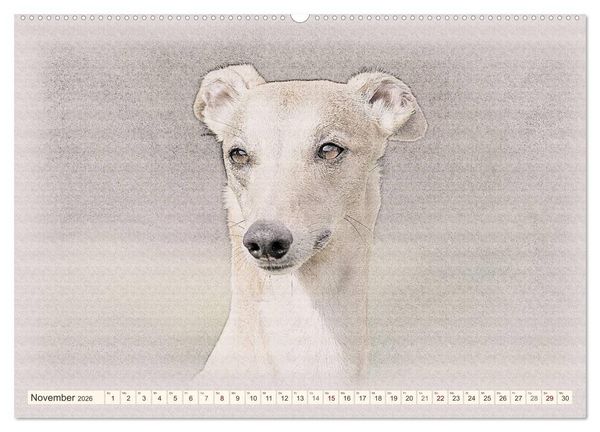 Produktbild: Windhunde 2026 (hochwertiger Premium Wandkalender 2026 DIN A2 quer), Kunstdruck in Hochglanz