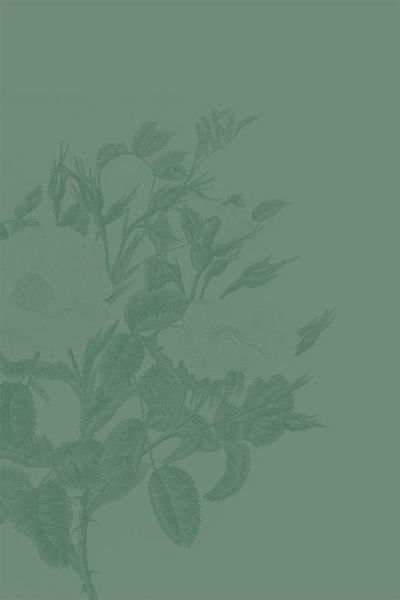 Produktbild: Die Damen mit dem gr&uuml;nen Daumen