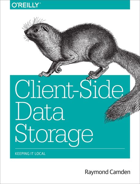 Produktbild: Client-Side Data Storage