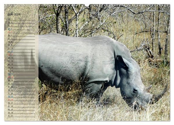 Produktbild: S&uuml;d Afrika - vom Kr&uuml;ger Nationalpark bis nach Kapstadt (hochwertiger Premium Wandkalender 2026 DIN A2 quer), Kunstdruck in Hochglanz