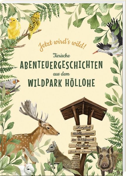 Produktbild: Jetzt wird&rsquo;s wild &ndash; tierische Abenteuergeschichten aus dem Wildpark H&ouml;llohe