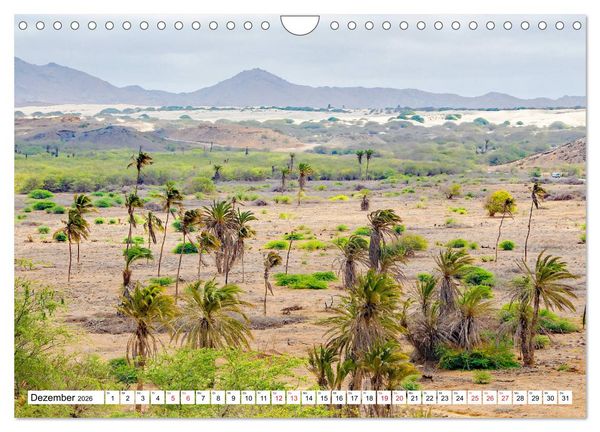 Produktbild: Boa Vista - die drittgr&ouml;&szlig;te Kapverdische Insel (Wandkalender 2026 DIN A4 quer), CALVENDO Monatskalender