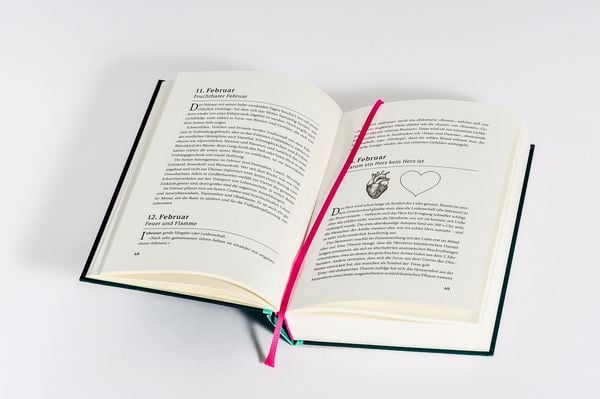 Produktbild: Ein Jahr des Staunens