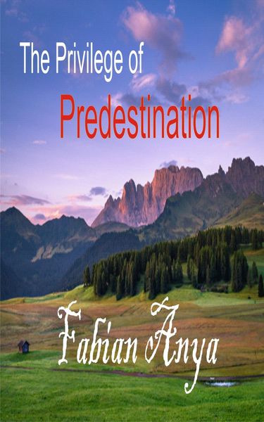 Produktbild: The Privilege of Predestination