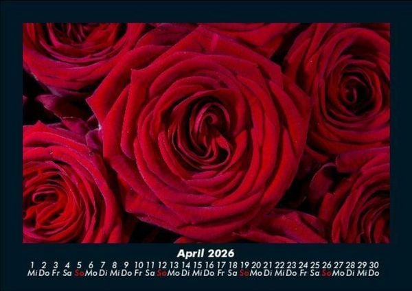Produktbild: Rosentraum 2026 Fotokalender DIN A5
