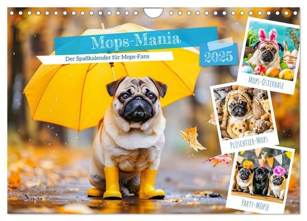 Mops-Mania - Der Spaßkalender für Mops-Fans (Wandkalender 2025 DIN A4 quer), CALVENDO Monatskalender