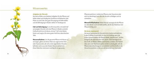 Produktbild: Wurzeln und Knollen