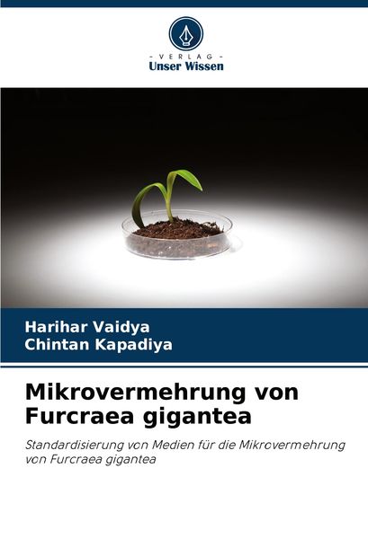 Mikrovermehrung von Furcraea gigantea