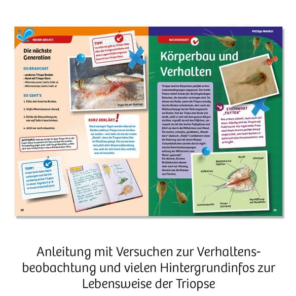 Produktbild: Triops-Welt