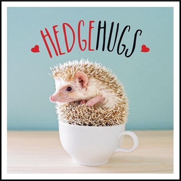 Produktbild: Ellis, C: Hedgehugs
