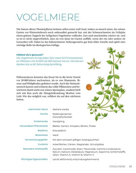 Produktbild: Geliebtes Unkraut