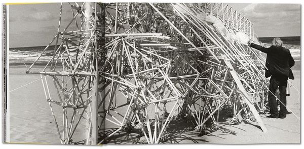 Produktbild: Strandbeest