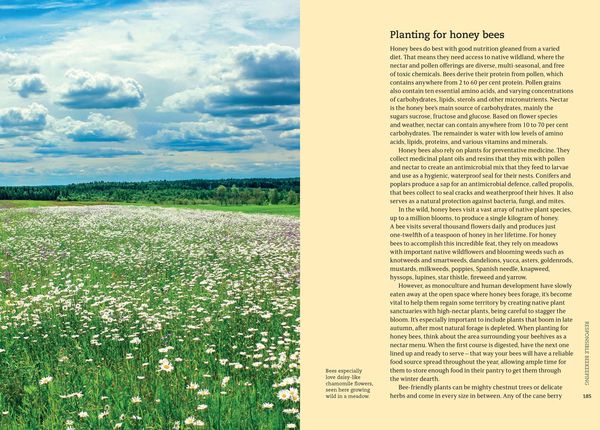 Produktbild: BEEKEEPERS FIELD GUIDE PB