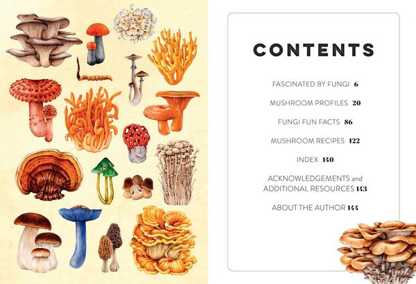 Produktbild: Xmushroom Miscellany Hb