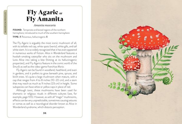 Produktbild: Xmushroom Miscellany Hb
