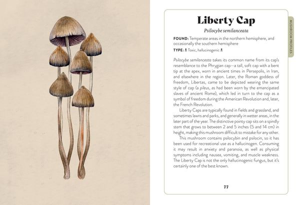 Produktbild: Xmushroom Miscellany Hb