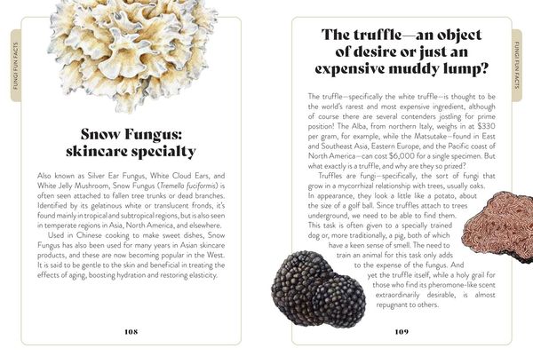 Produktbild: Xmushroom Miscellany Hb