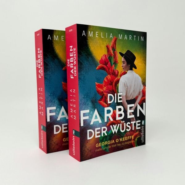 Produktbild: Die Farben der W&uuml;ste
