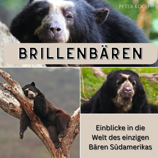 Produktbild: Brillenb&auml;ren