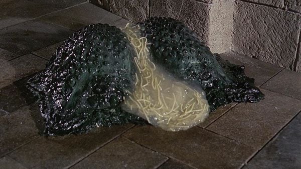 Produktbild: Insel des Schreckens (Island of Terror) / Grusel-Schocker mit Starbesetzung (Pidax Film-Klassiker)