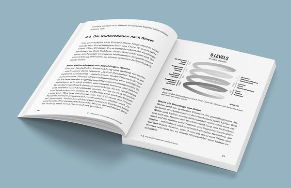 Produktbild: 30 Minuten Organisationskultur