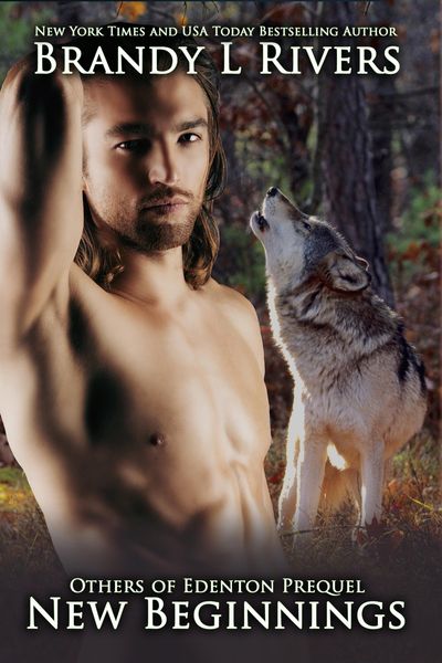Produktbild: New Beginnings (Others of Edenton, #2)