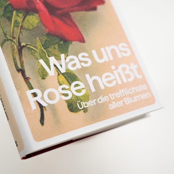 Produktbild: Was uns Rose hei&szlig;t. &Uuml;ber die trefflichste aller Blumen