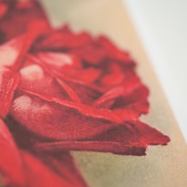 Produktbild: Was uns Rose hei&szlig;t. &Uuml;ber die trefflichste aller Blumen