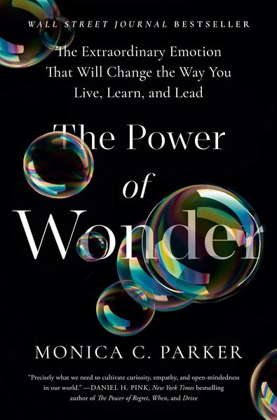 Produktbild: The Power of Wonder