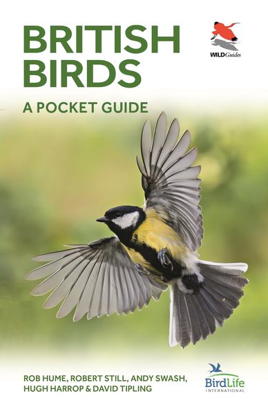 Produktbild: British and Irish Birds
