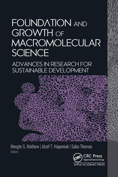 Produktbild: Foundation and Growth of Macromolecular Science