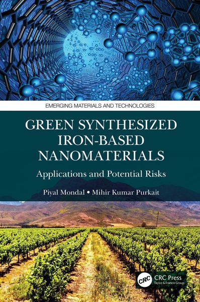 Produktbild: Green Synthesized Iron-based Nanomaterials