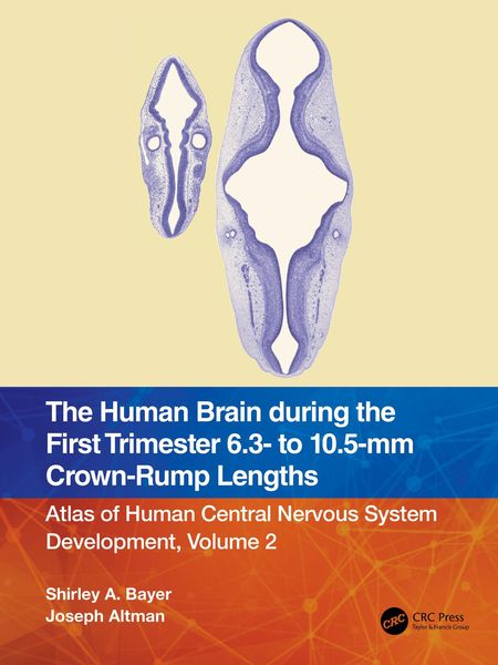 Produktbild: The Human Brain during the First Trimester 6.3- to 10.5-mm Crown-Rump Lengths